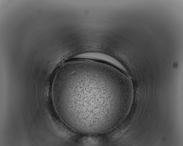 X0000089970739200707061200