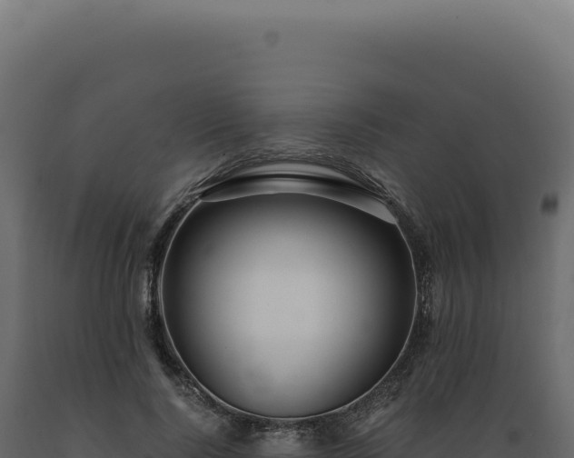 X0000089970740200707061200