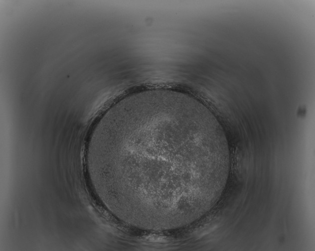 X0000089970742200707061200