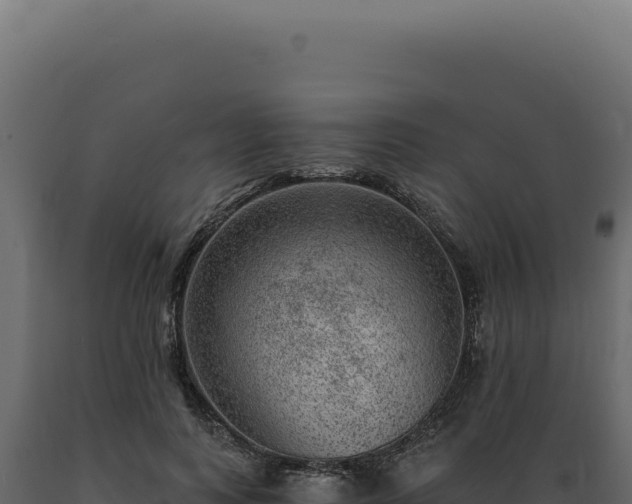 X0000089970743200707061200