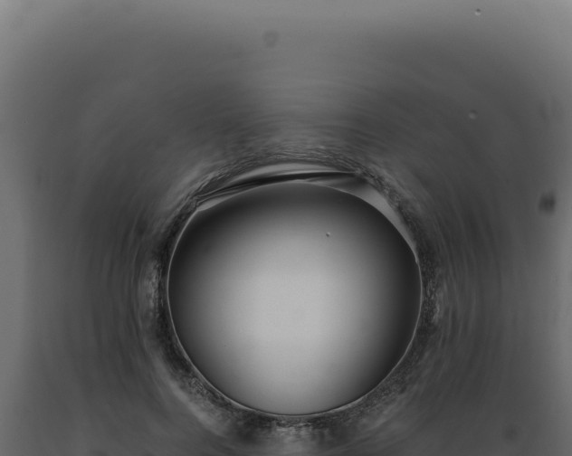 X0000089970744200707061200