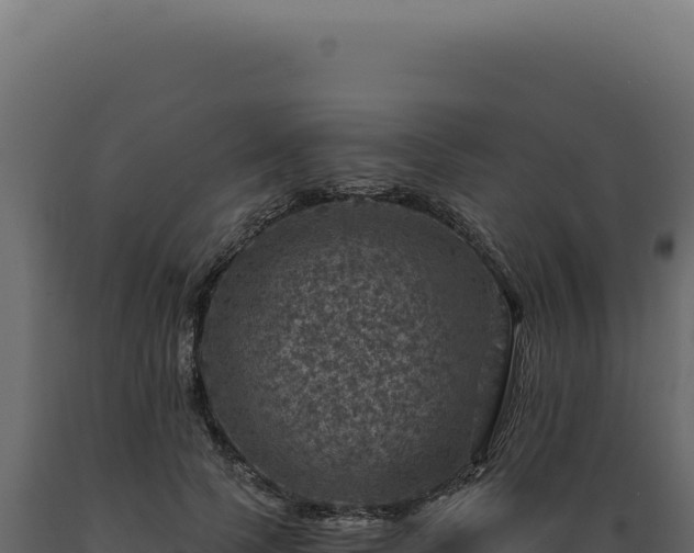 X0000089970745200707061200