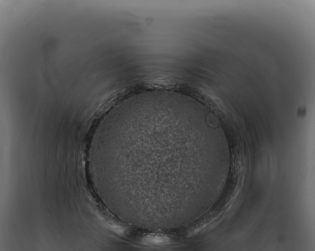 X0000089970749200707061200