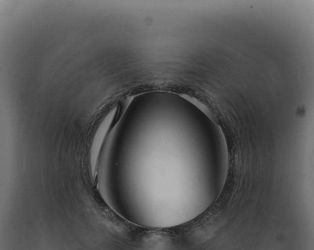 X0000089970750200707061200