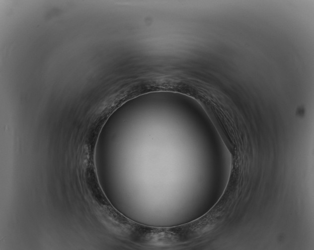 X0000089970752200707061200