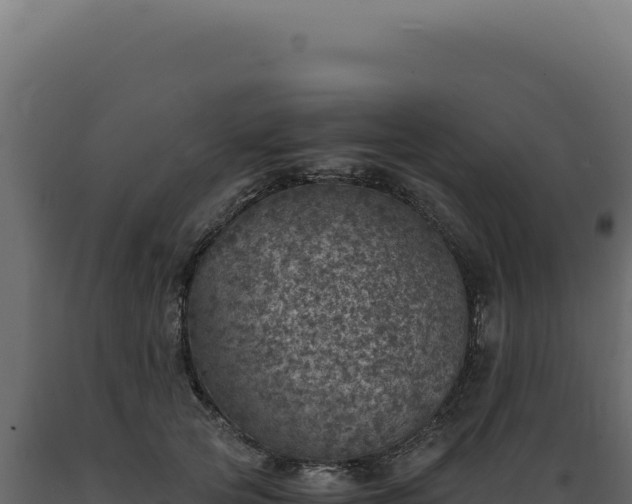 X0000089970753200707061200