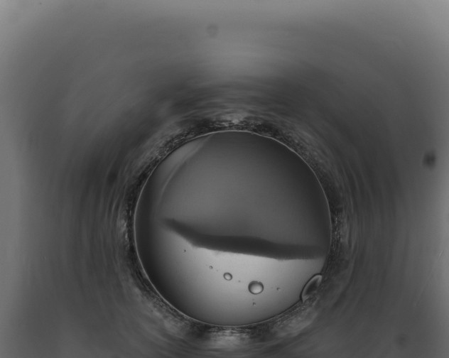 X0000089970754200707061200