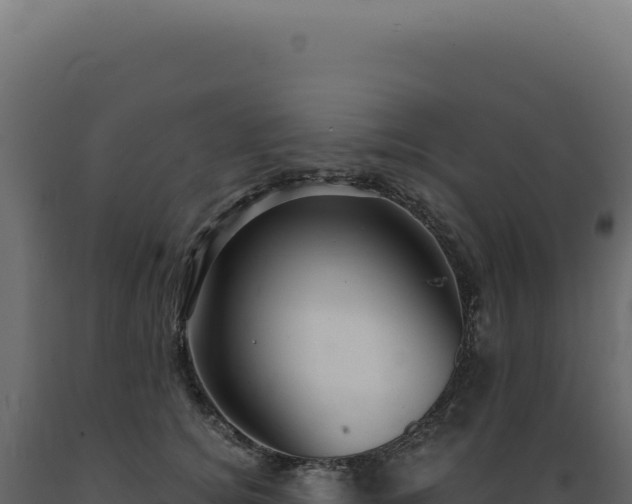 X0000089970756200707061200