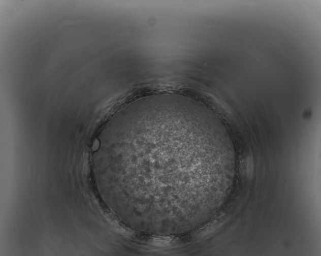 X0000089970757200707061200