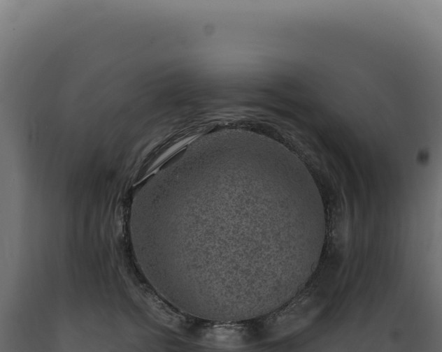 X0000089970758200707061200