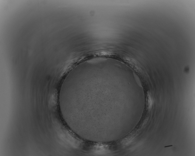 X0000089970760200707061200