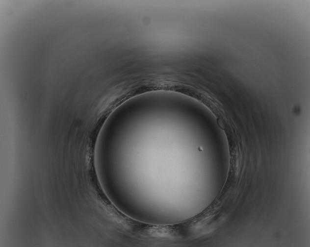 X0000089970762200707061200