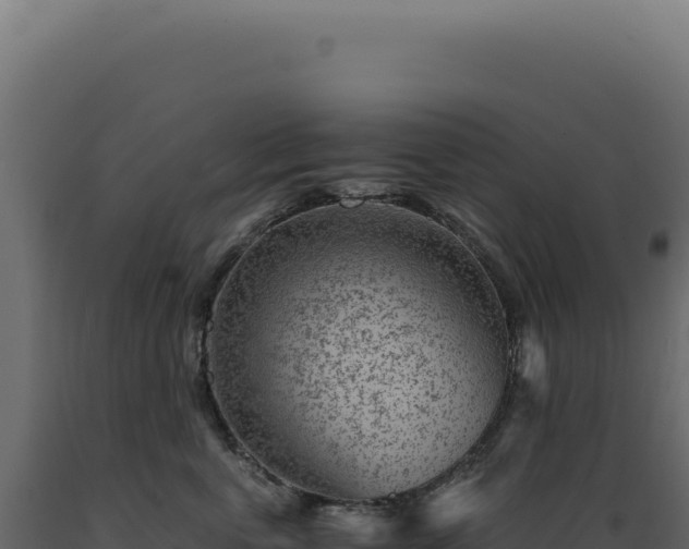 X0000089970763200707061200