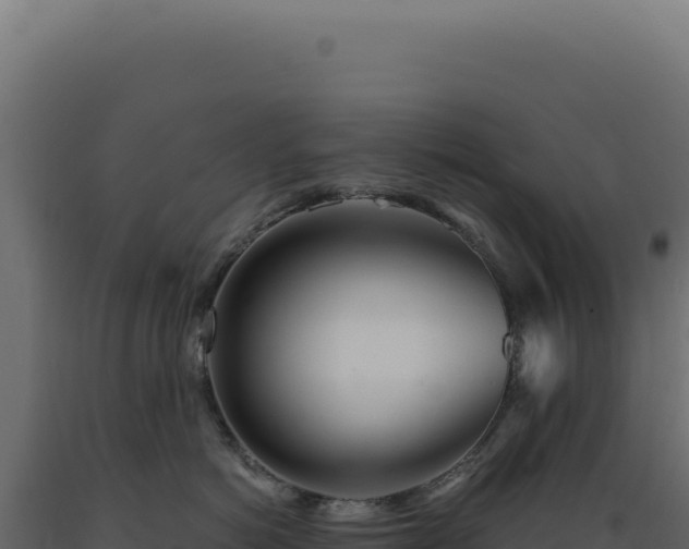 X0000089970766200707061200