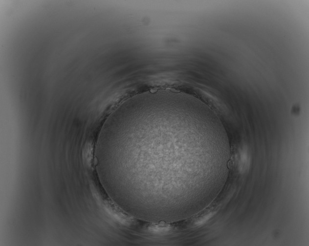 X0000089970767200707061200