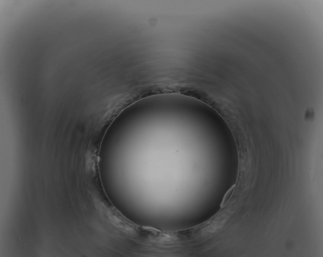 X0000089970768200707061200