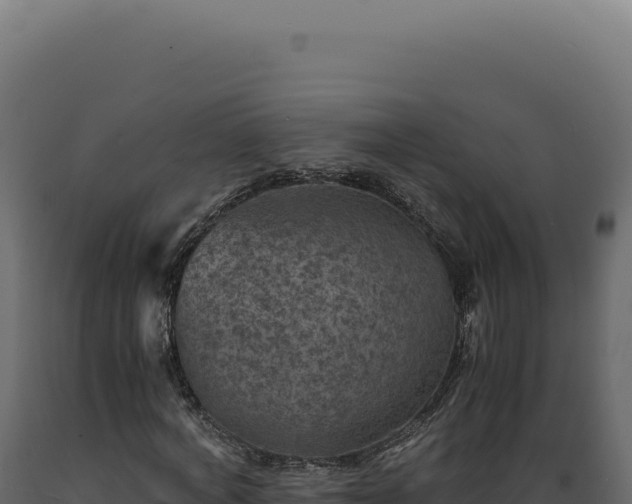 X0000089970772200707061200