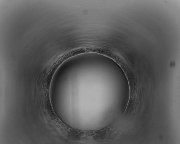 X0000089970773200707061200