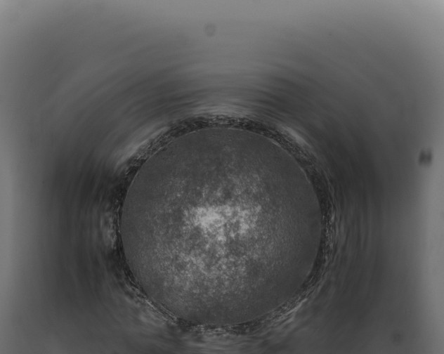 X0000089970774200707061200
