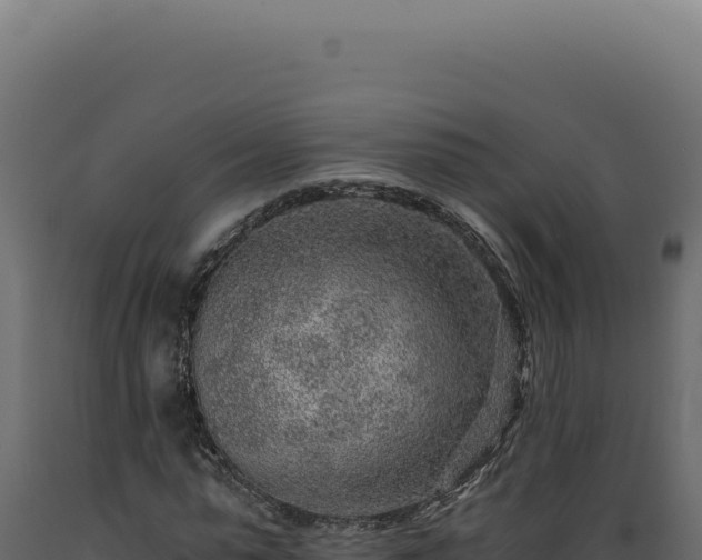 X0000089970775200707061200