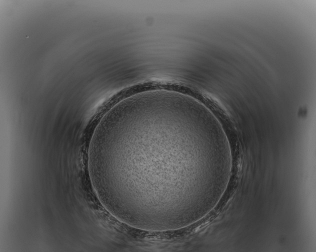 X0000089970776200707061200