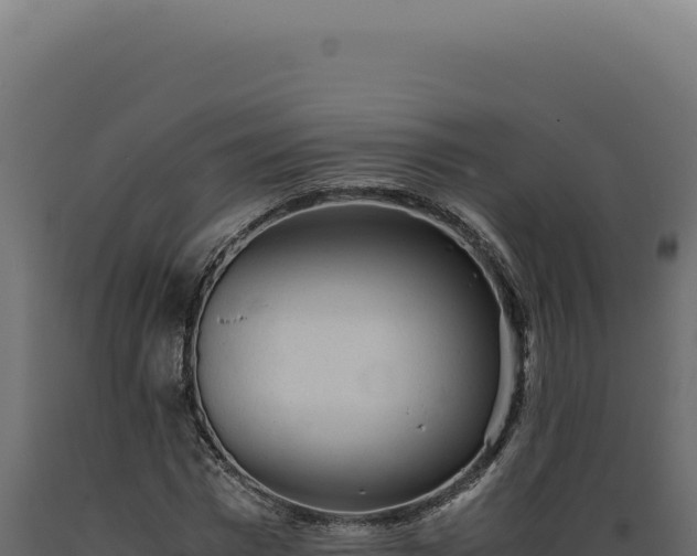 X0000089970777200707061200