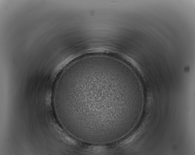 X0000089970778200707061200