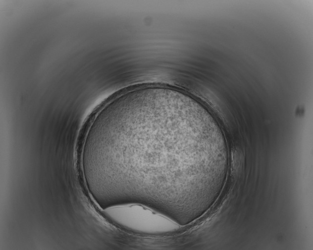 X0000089970780200707061200