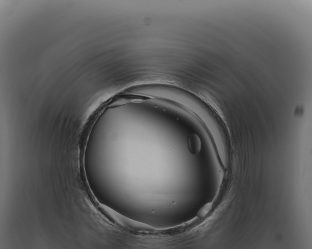 X0000089970781200707061200