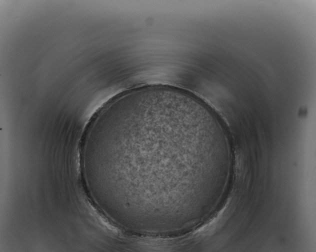 X0000089970782200707061200