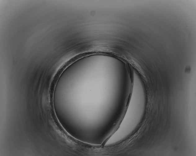 X0000089970784200707061200