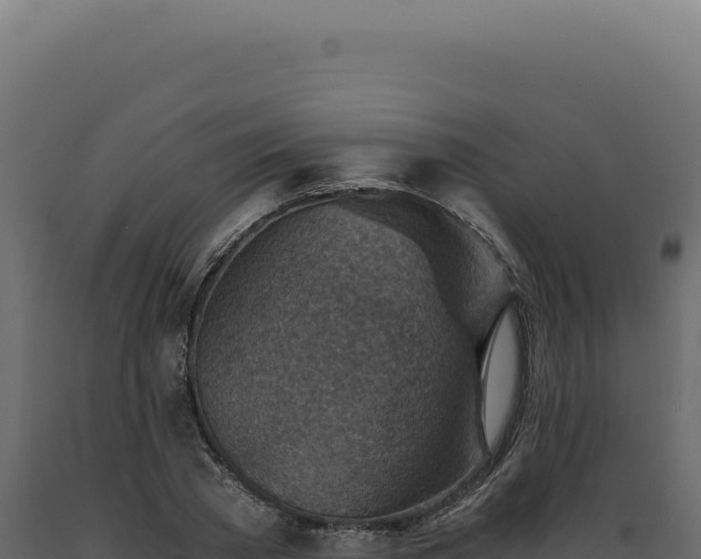 X0000089970785200707061200