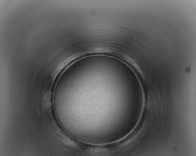 X0000089970786200707061200