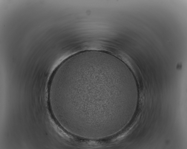 X0000089970787200707061200