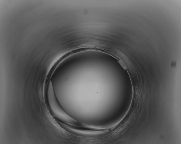 X0000089970788200707061200