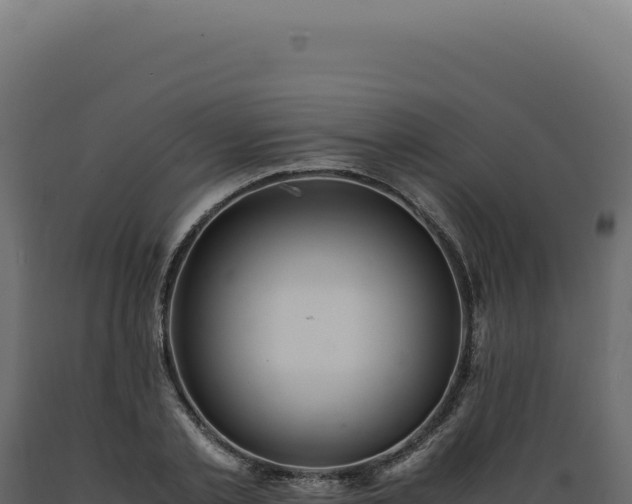 X0000089970789200707061200