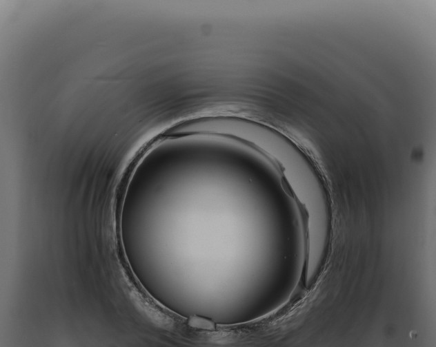 X0000089970792200707061200