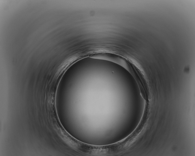 X0000089970793200707061200
