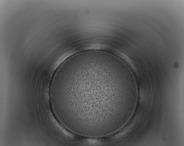 X0000089970794200707061200