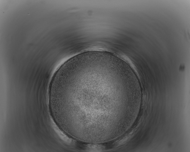 X0000089970795200707061200