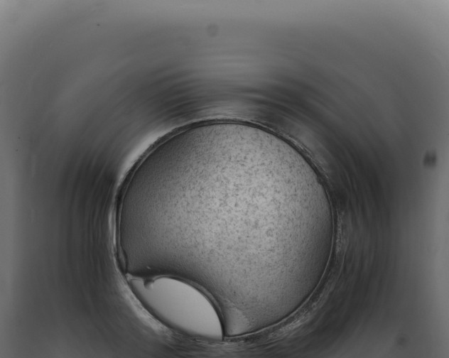 X0000089970796200707061200