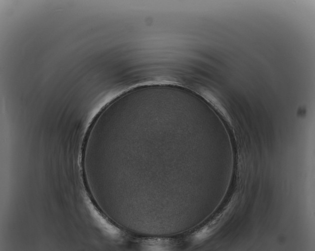 X0000089970797200707061200