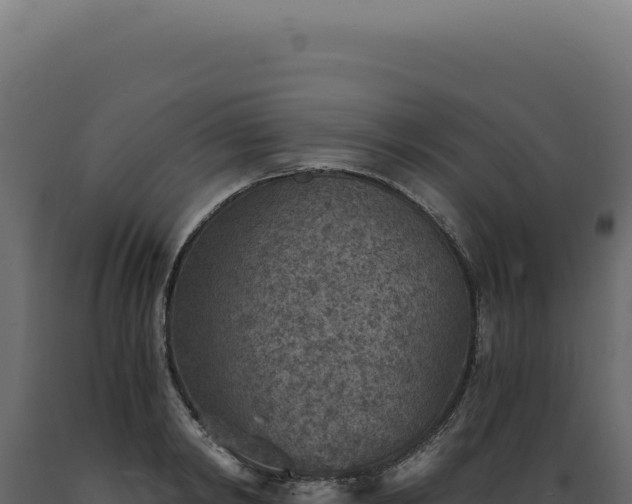 X0000089970798200707061200