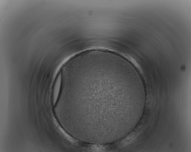 X0000089970799200707061200