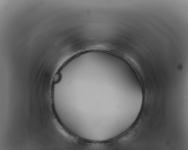 X0000089970800200707061159