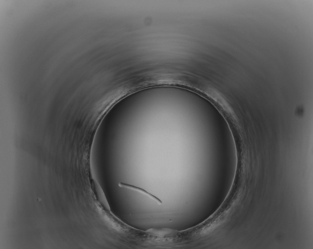 X0000089970801200707061159