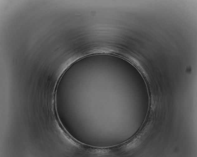 X0000089970802200707061159