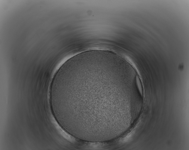 X0000089970803200707061159