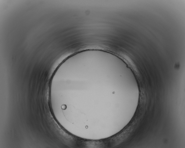X0000089970804200707061159