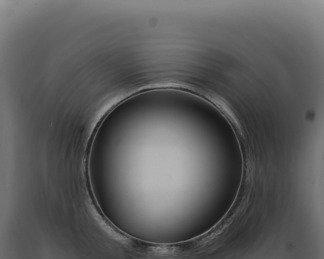 X0000089970805200707061159